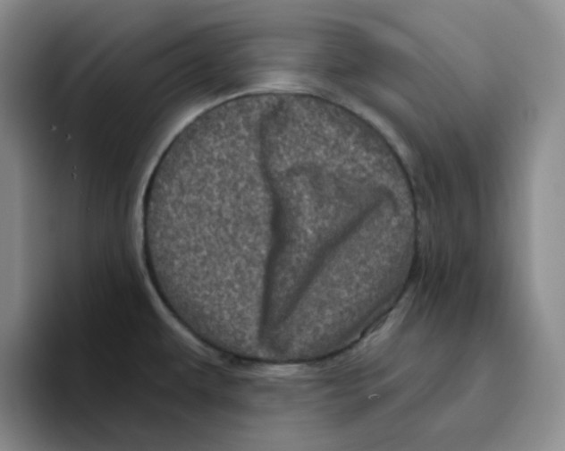 X0000096411479200802211214