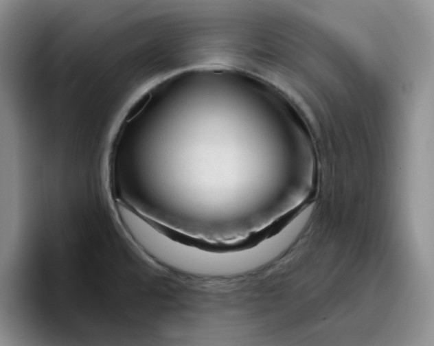 X0000096411480200802211214