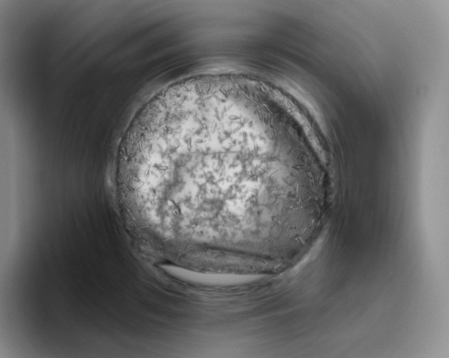 X0000096411481200802211214