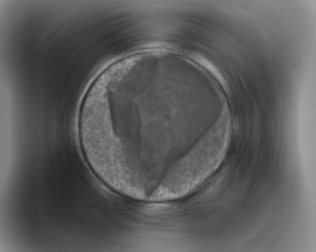 X0000096411482200802211214