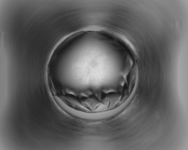 X0000096411484200802211214