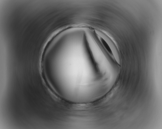 X0000096411485200802211214