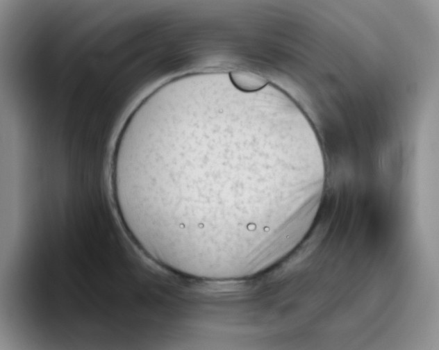 X0000096411486200802211214