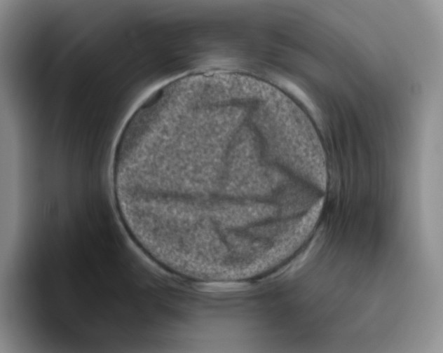 X0000096411487200802211214