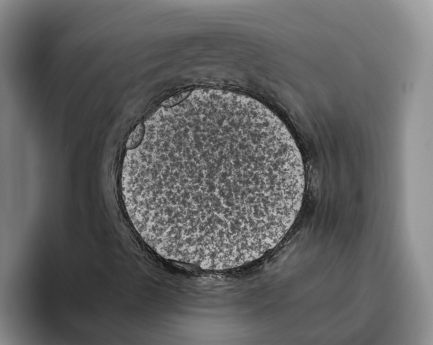 X0000096411489200802211214