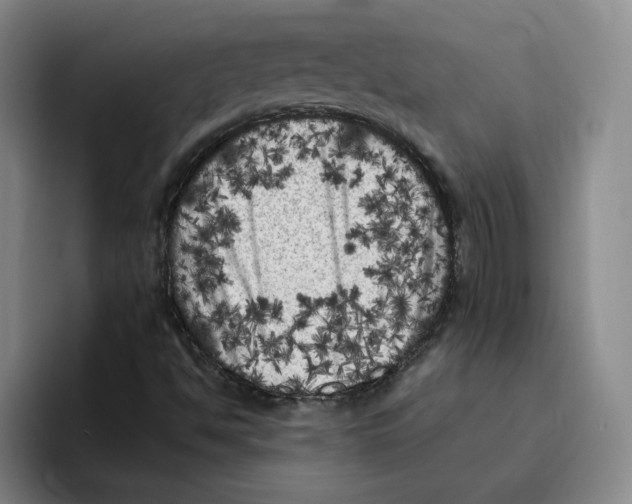 X0000096411494200802211214