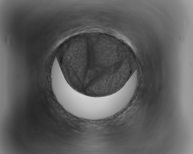 X0000096411496200802211214