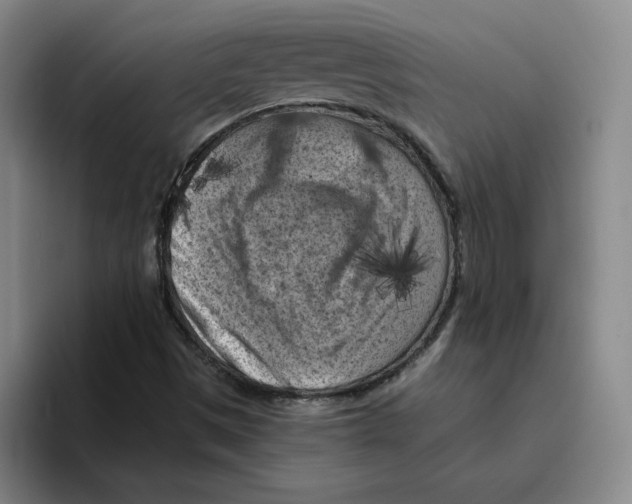 X0000096411497200802211214