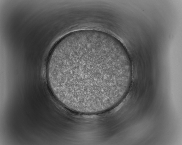 X0000096411498200802211214