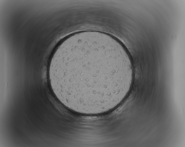 X0000096411499200802211214