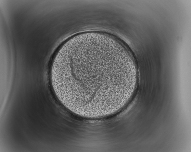 X0000096411501200802211214