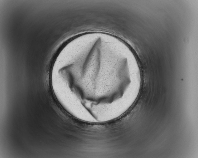 X0000096411503200802211214