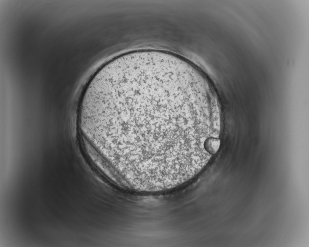 X0000096411504200802211214