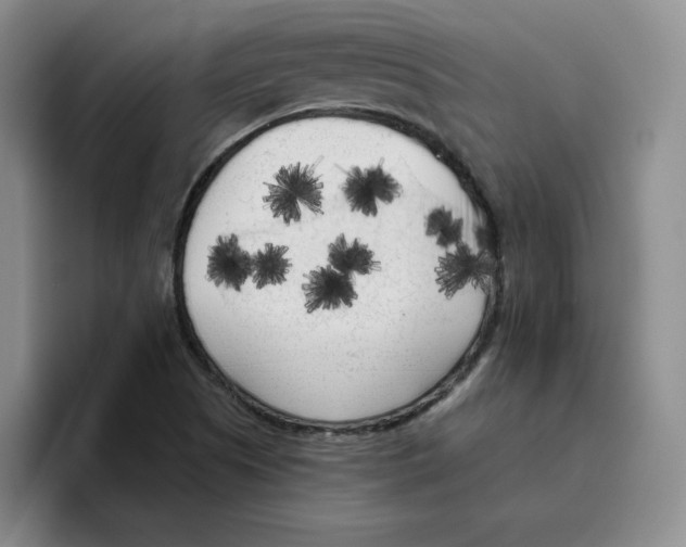 X0000096411505200802211214