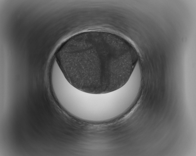 X0000096411506200802211214