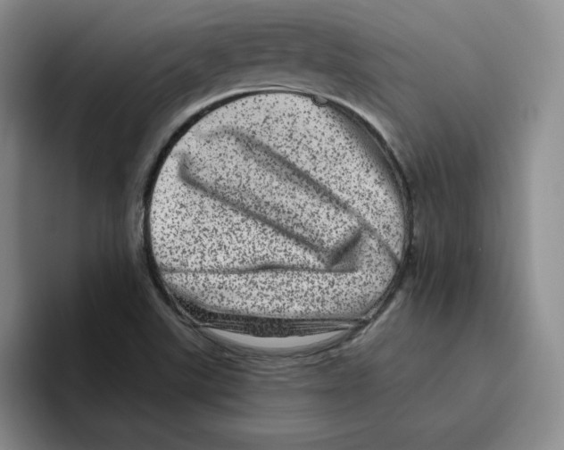 X0000096411507200802211214