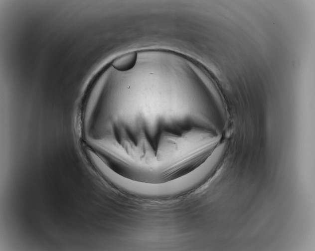 X0000096411510200802211214