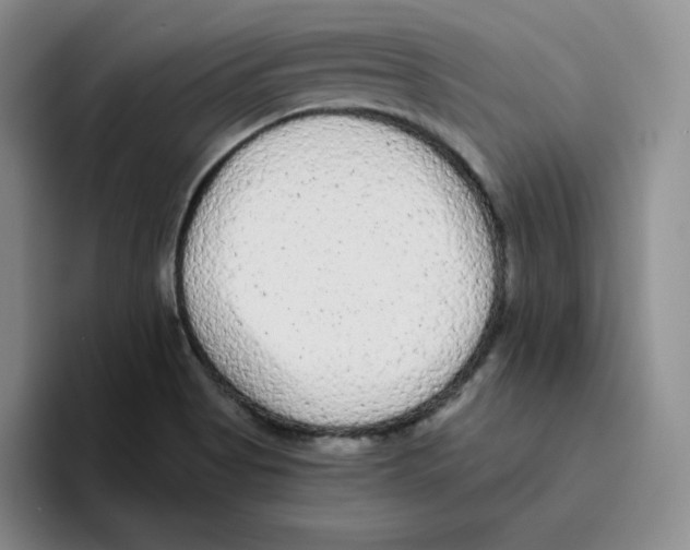 X0000096411513200802211214