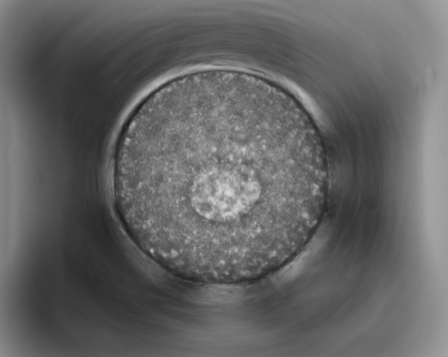 X0000096411514200802211214