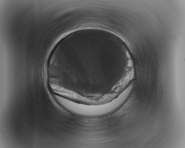 X0000096411515200802211214