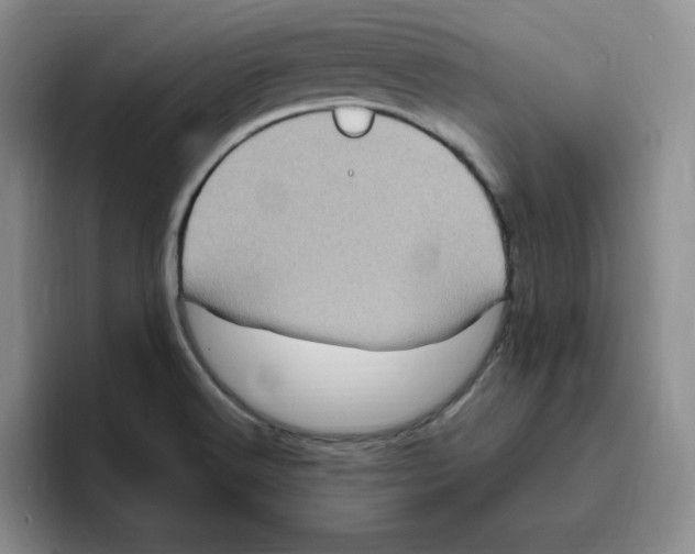 X0000096411516200802211214