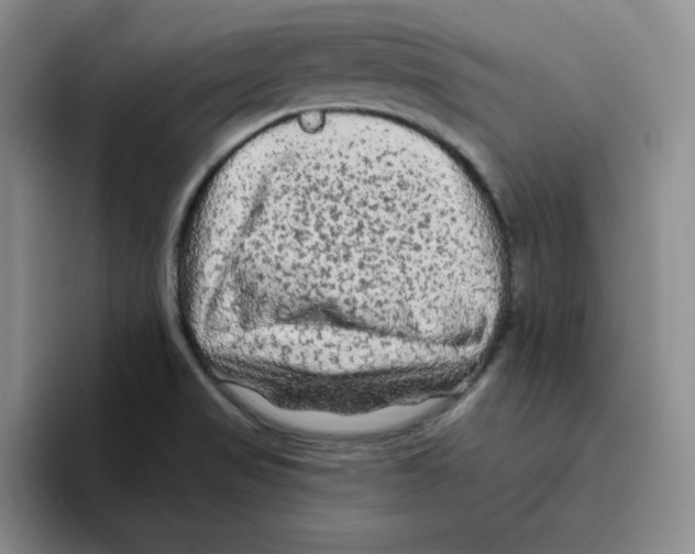 X0000096411517200802211214