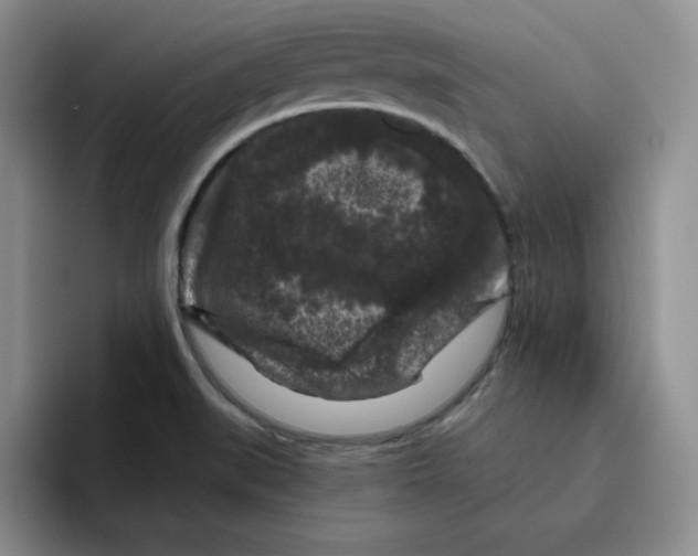 X0000096411519200802211214