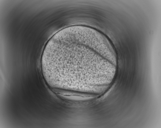 X0000096411521200802211214