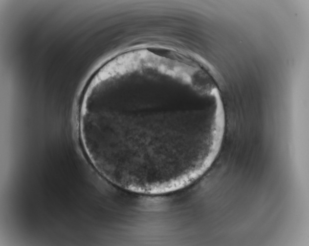 X0000096411522200802211214