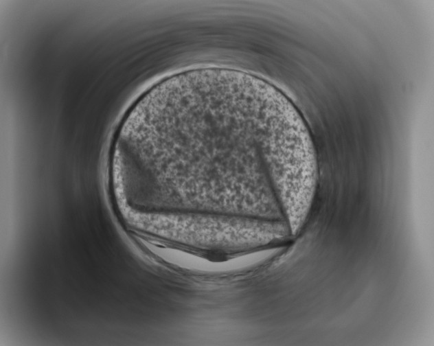 X0000096411523200802211214