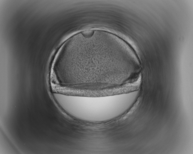 X0000096411525200802211214