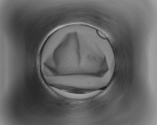 X0000096411526200802211214