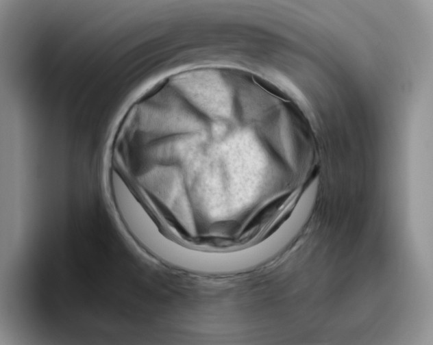 X0000096411528200802211214