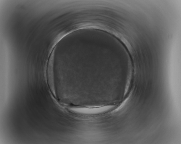 X0000096411529200802211214