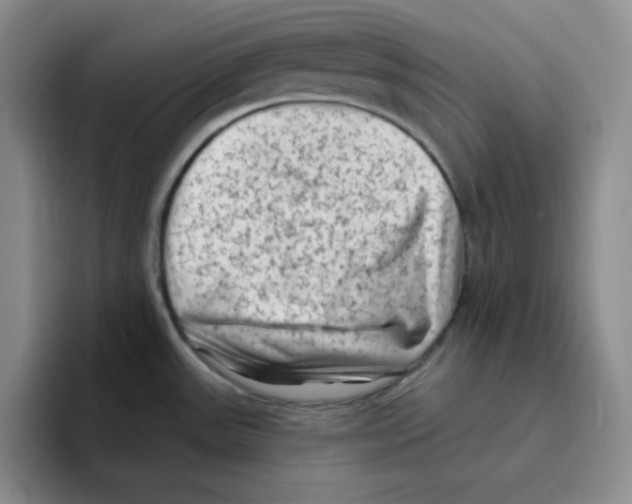 X0000096411531200802211214