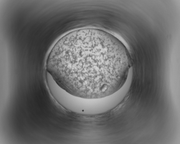 X0000096411532200802211214