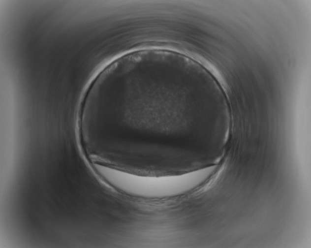 X0000096411533200802211214