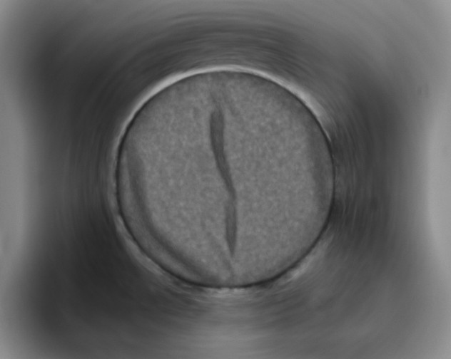 X0000096411534200802211214