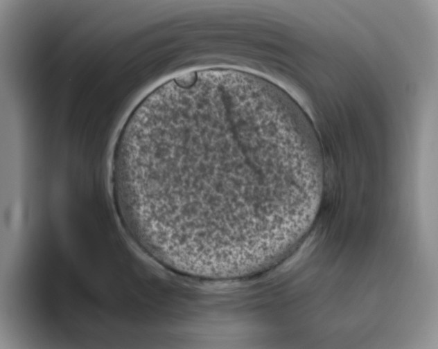 X0000096411535200802211214