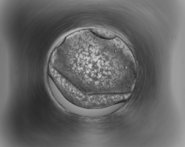 X0000096411536200802211214