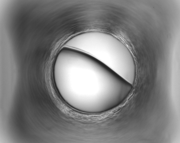 X0000096420001200801241013