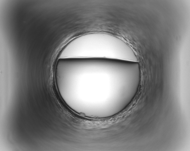 X0000096420005200801241013