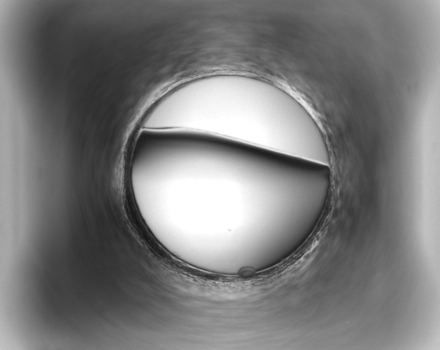 X0000096420008200801241013