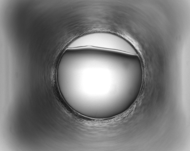 X0000096420009200801241013
