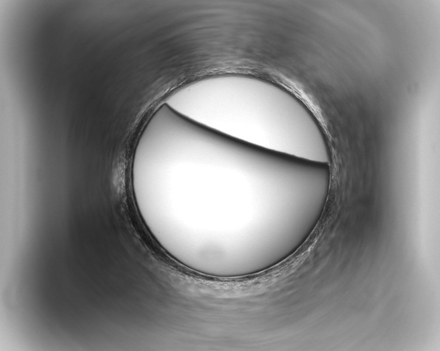 X0000096420010200801241013