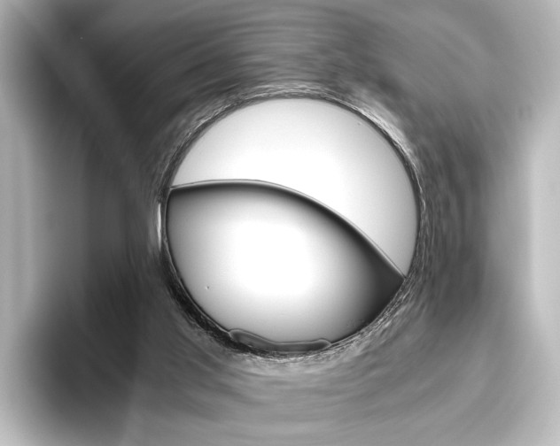 X0000096420013200801241013