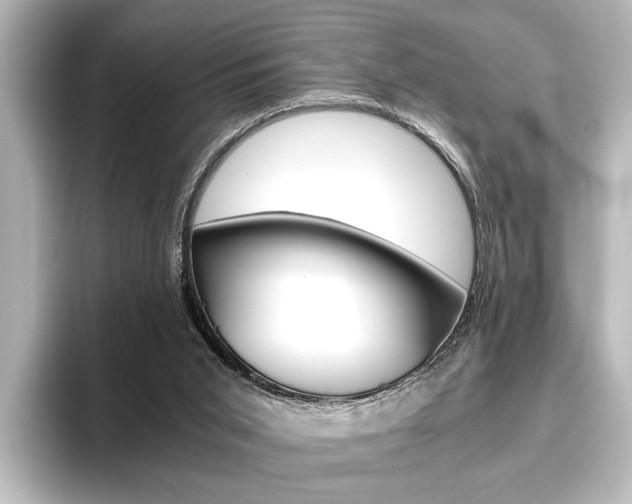 X0000096420015200801241013
