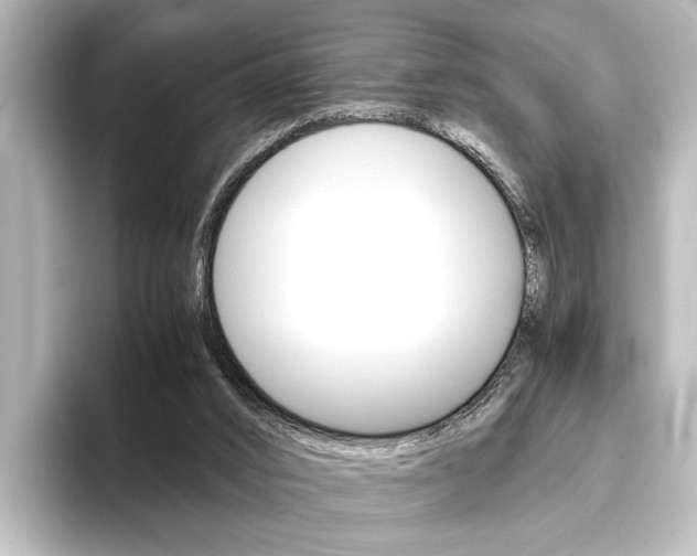 X0000096420016200801241013