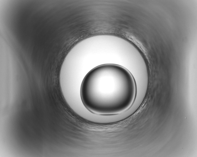X0000096420017200801241013