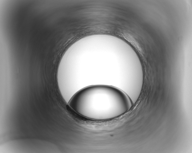 X0000096420021200801241013